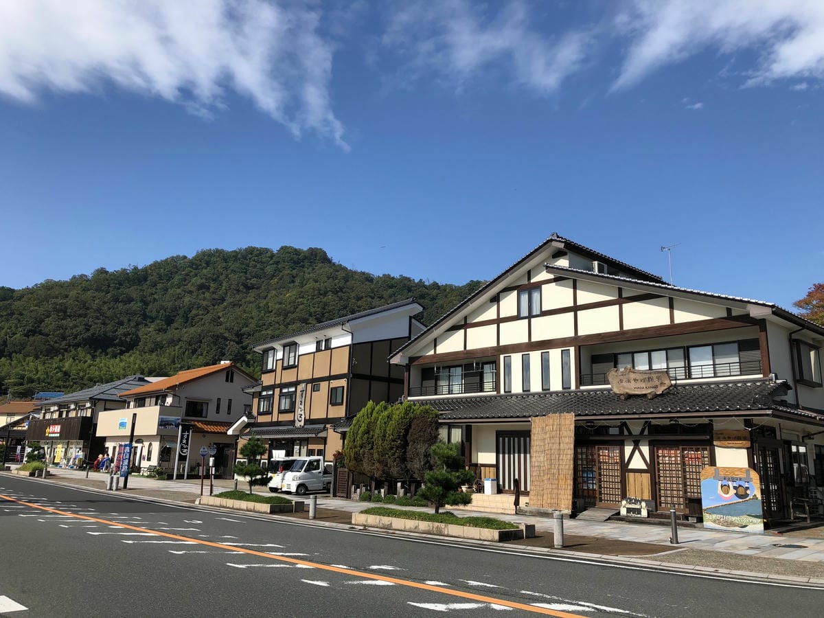 傘松公園 傘松公園