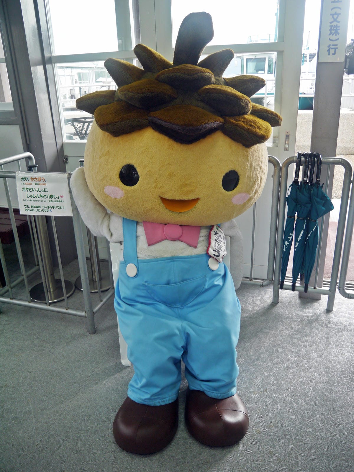 傘松公園 傘松公園