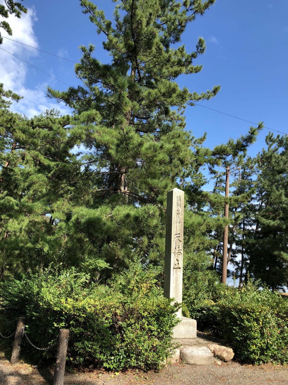 傘松公園 傘松公園