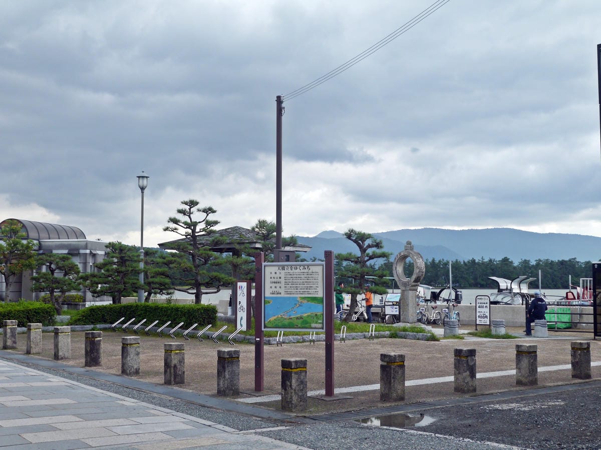 傘松公園 傘松公園