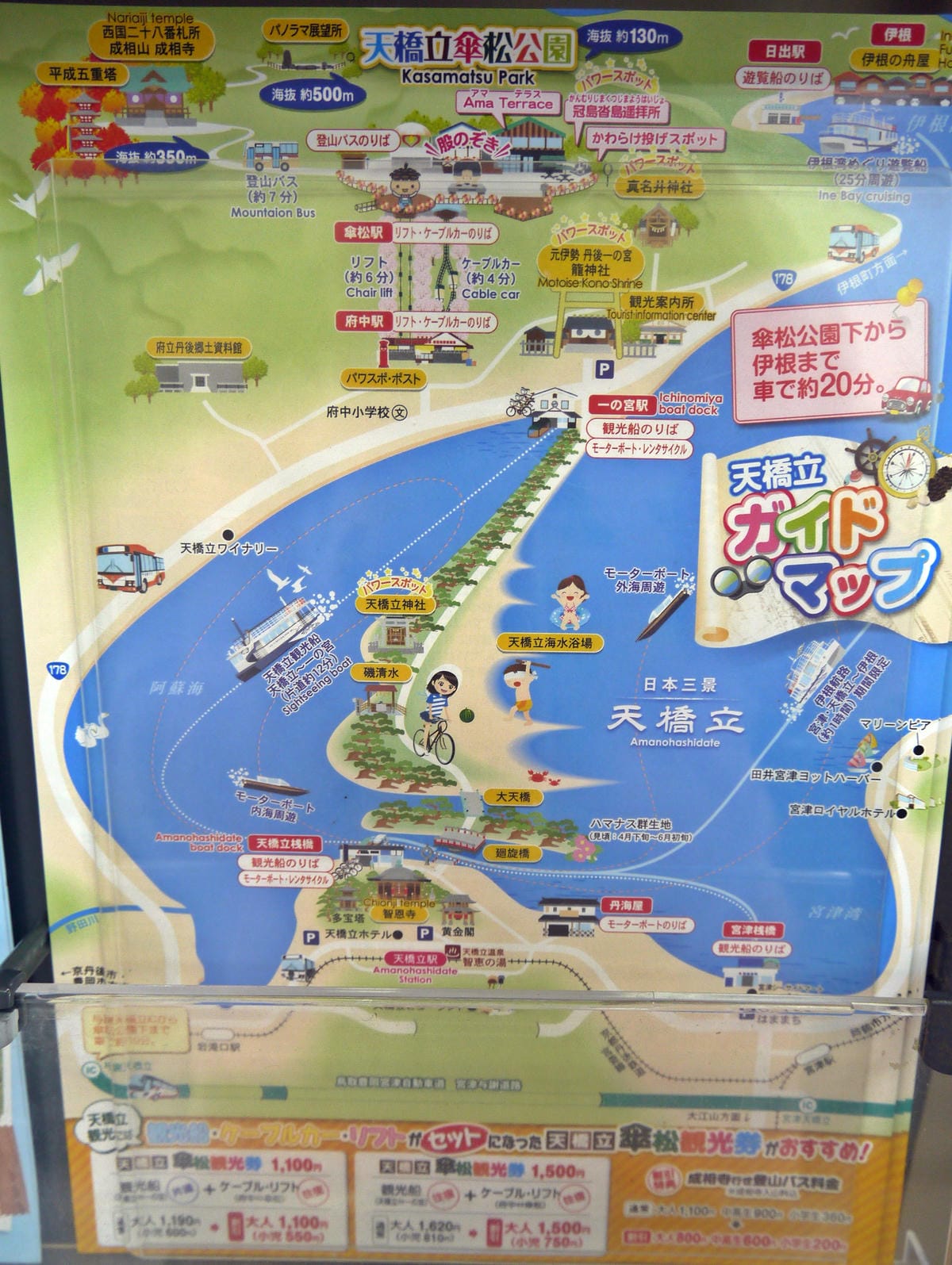傘松公園 傘松公園