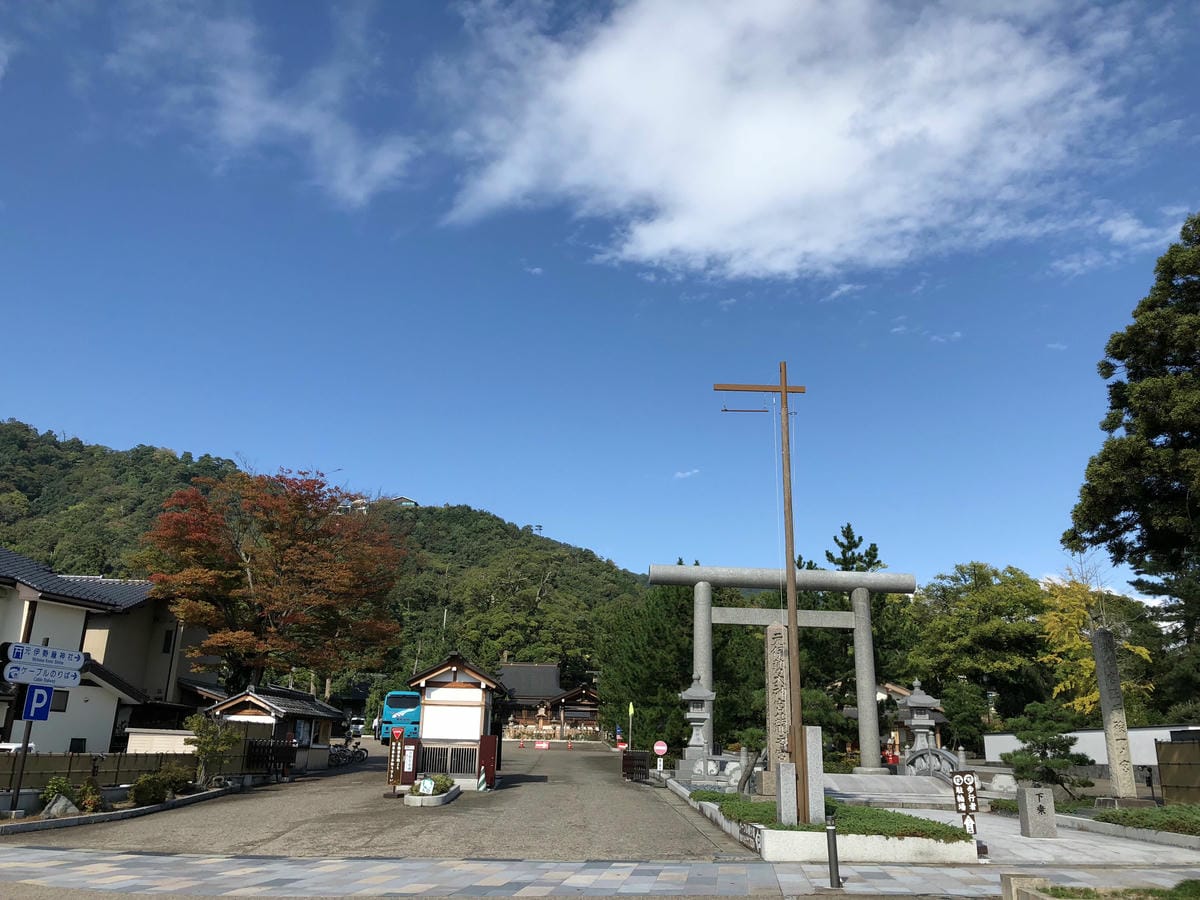 傘松公園 傘松公園