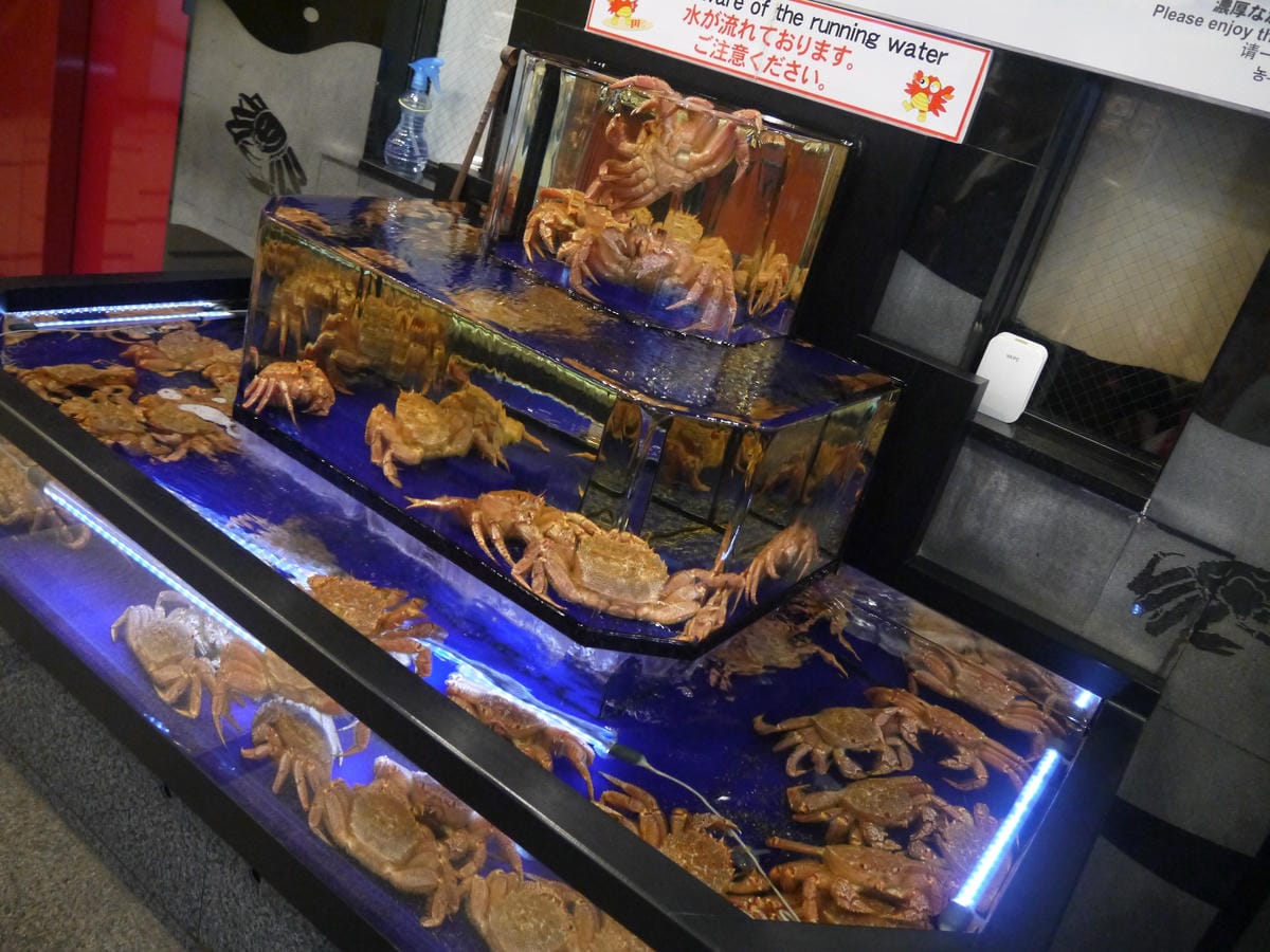 螃蟹道樂 本店 螃蟹道樂 本店