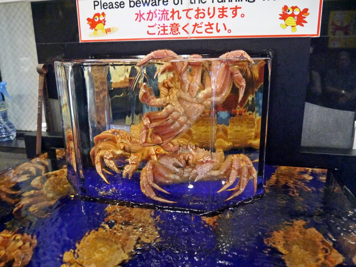 螃蟹道樂 本店 螃蟹道樂 本店