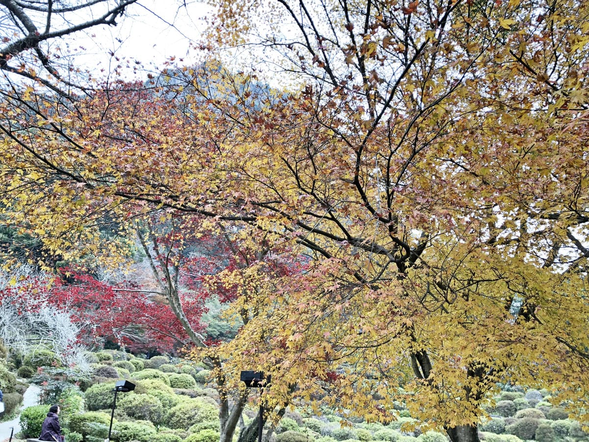 御船山楽園 御船山楽園