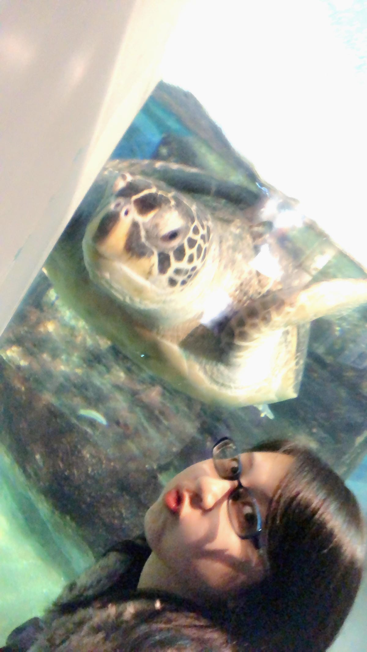 九十九島水族館 海きらら 九十九島水族館 海きらら