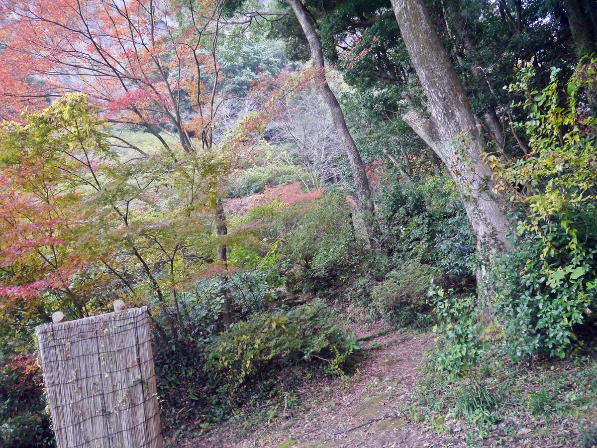 御船山楽園 御船山楽園