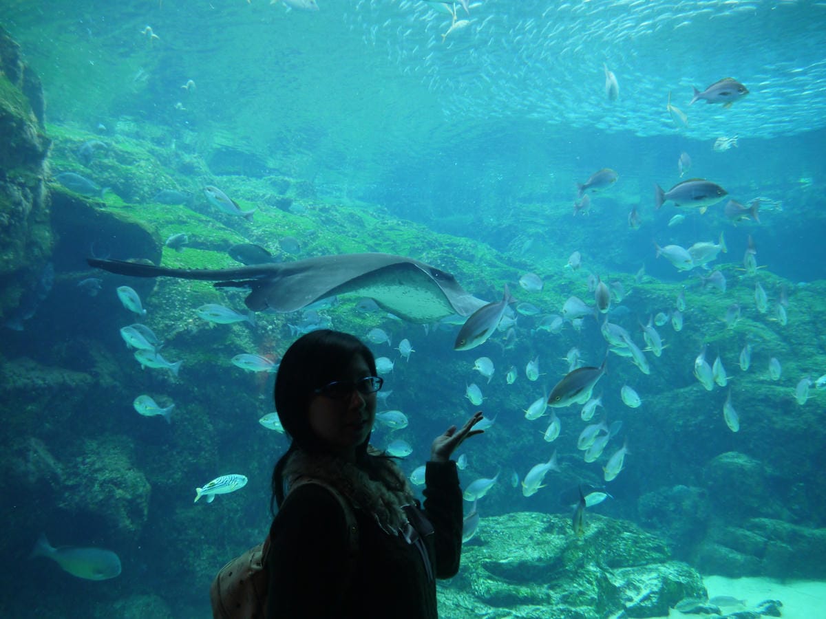 九十九島水族館 海きらら 九十九島水族館 海きらら