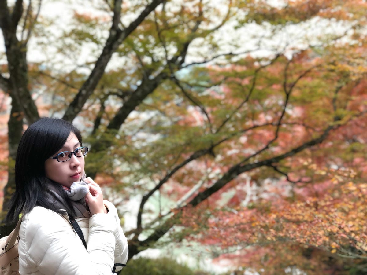 御船山楽園 御船山楽園