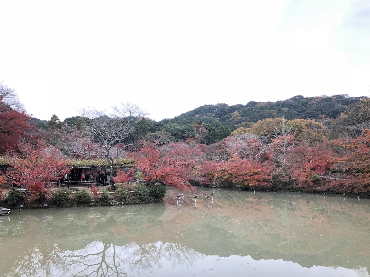 御船山楽園 御船山楽園