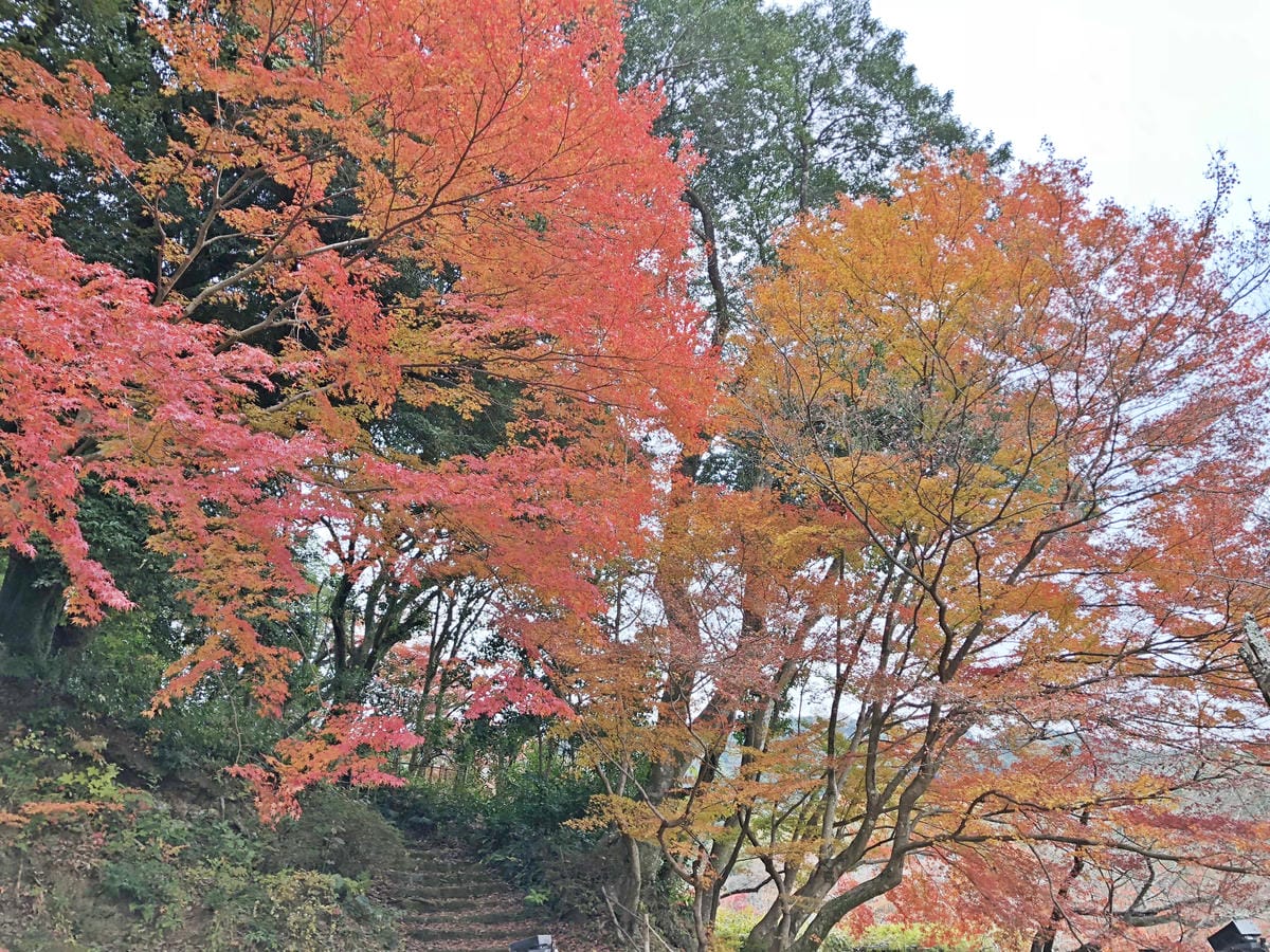 御船山楽園 御船山楽園