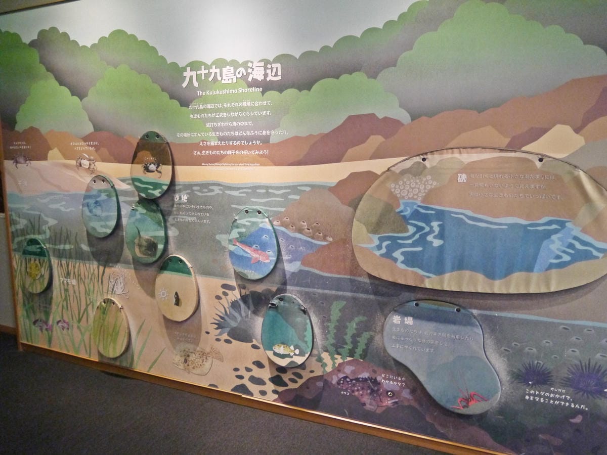 九十九島水族館 海きらら 九十九島水族館 海きらら