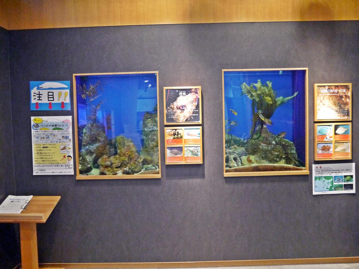 九十九島水族館 海きらら 九十九島水族館 海きらら