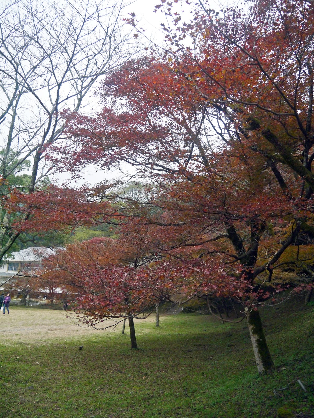 垂裕神社