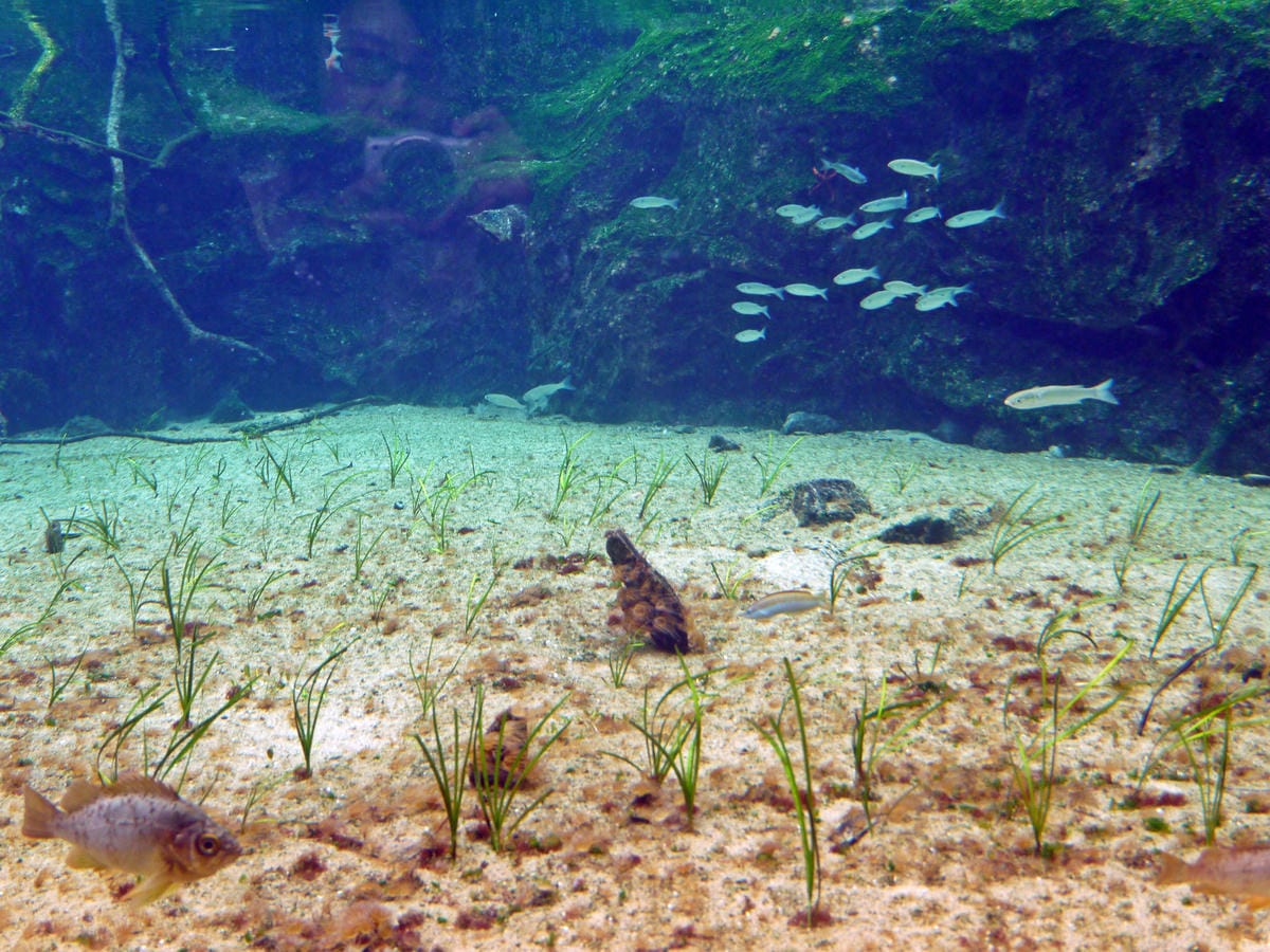九十九島水族館 海きらら