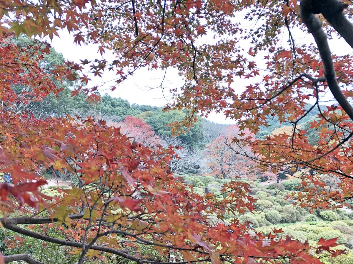 御船山楽園 御船山楽園