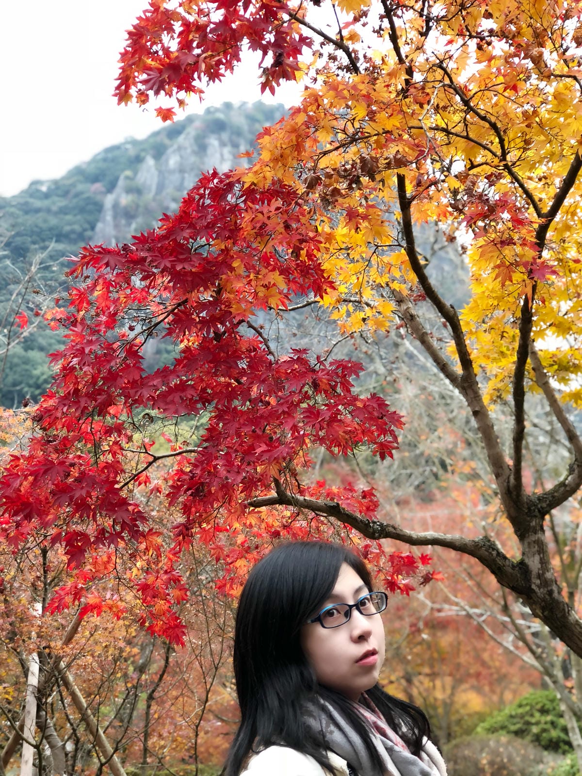 御船山楽園 御船山楽園