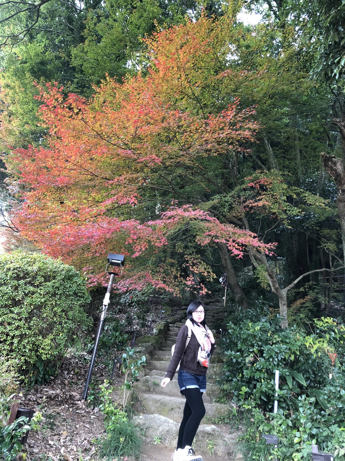 御船山楽園 御船山楽園