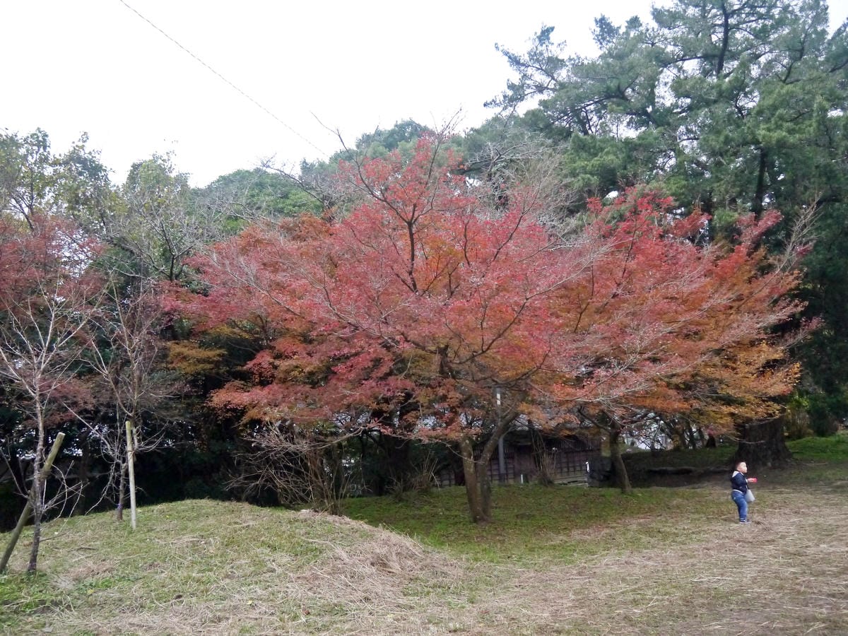 垂裕神社