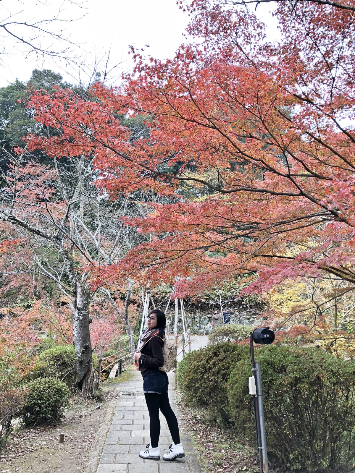 御船山楽園 御船山楽園
