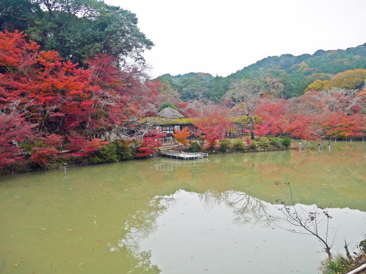 御船山楽園 御船山楽園