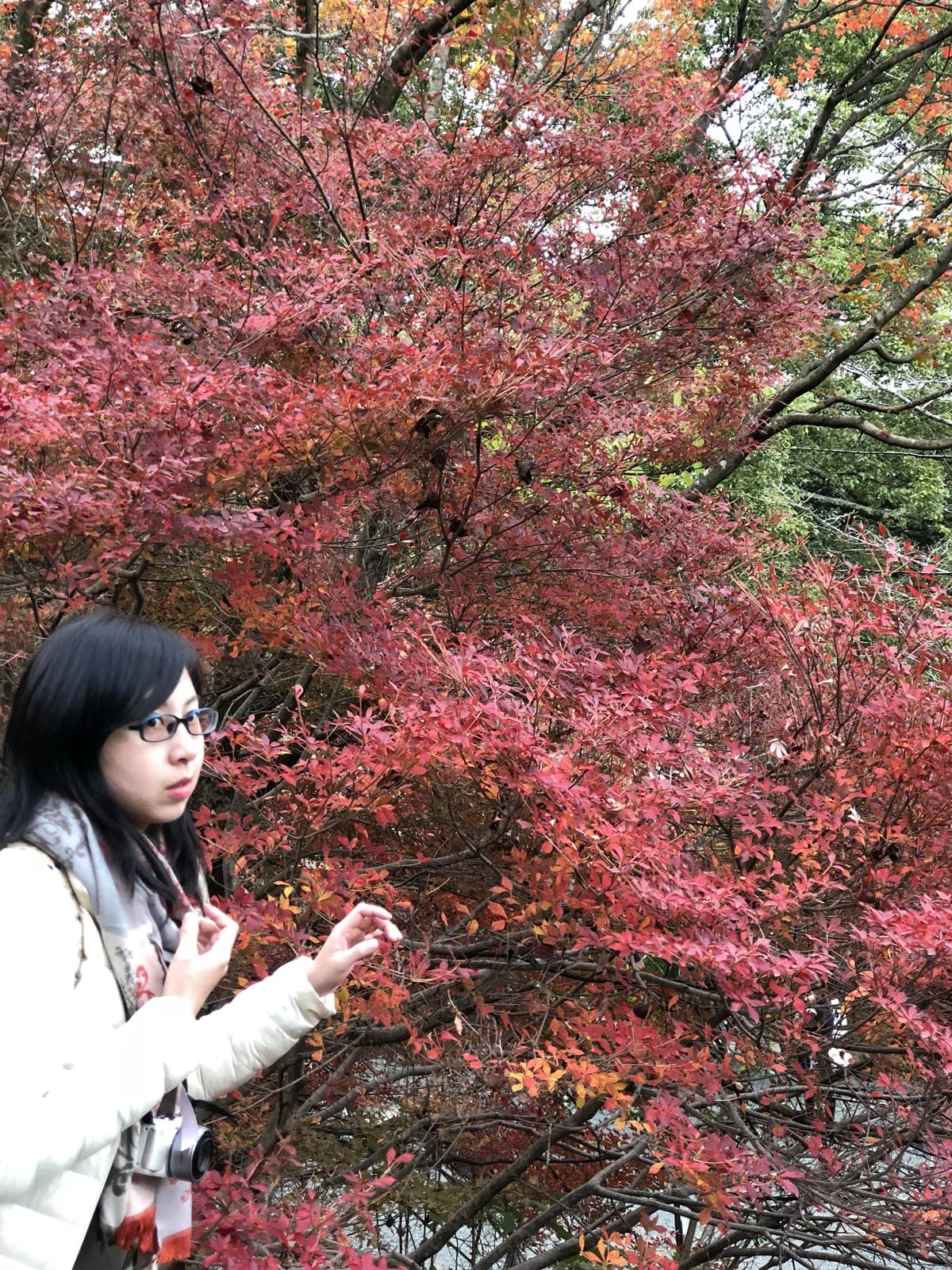 御船山楽園 御船山楽園