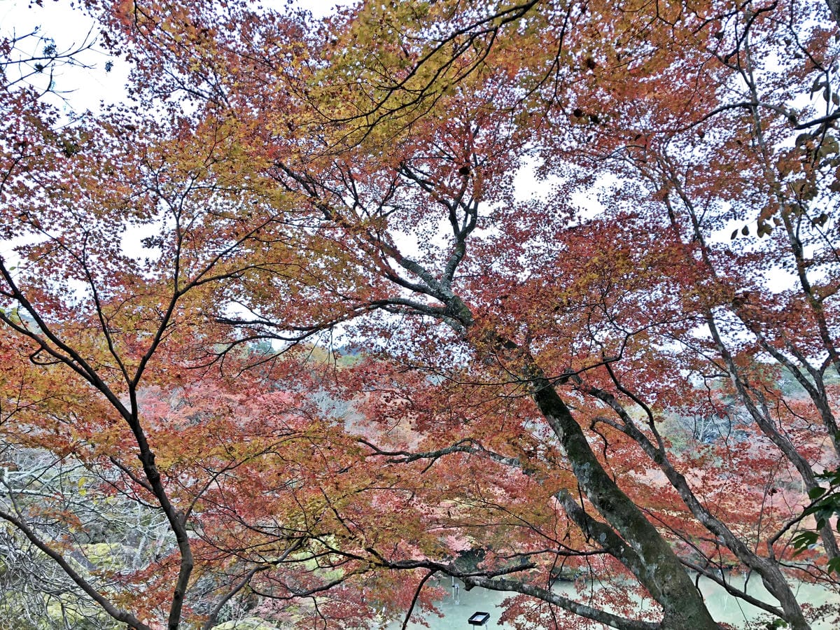 御船山楽園 御船山楽園