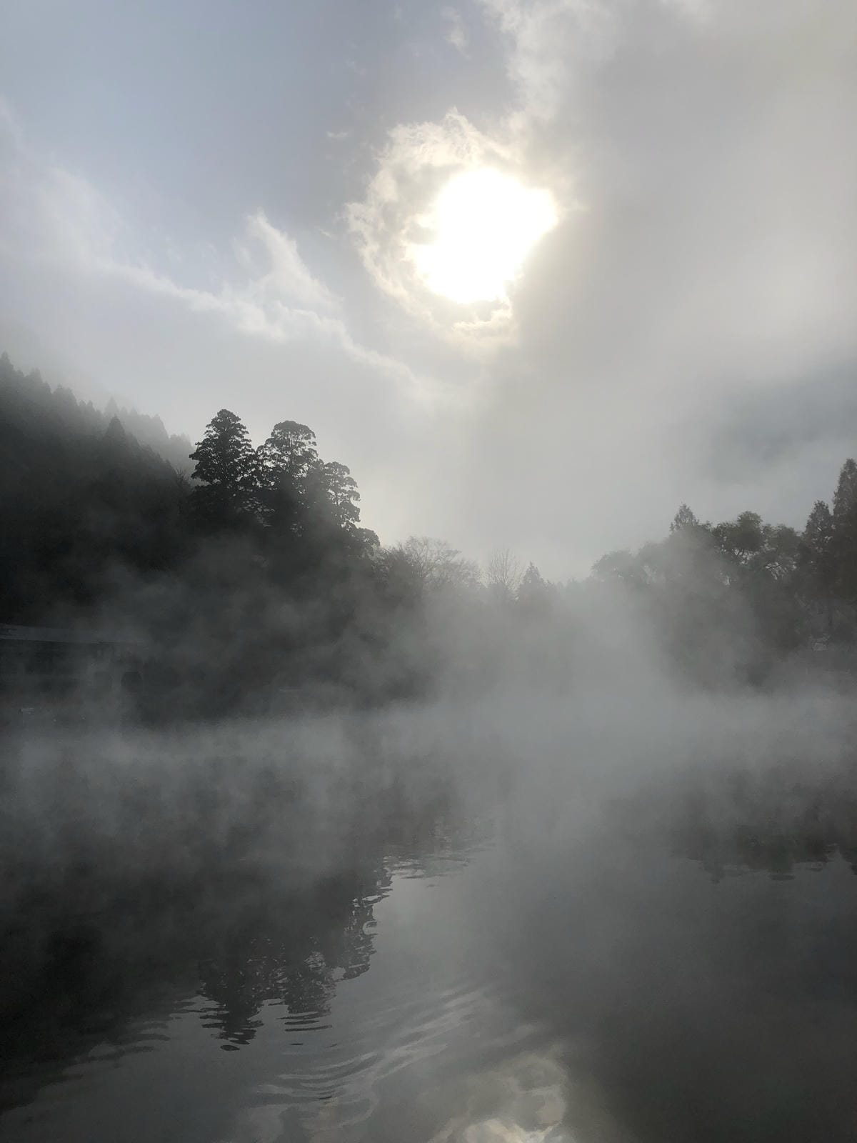 金鱗湖 金鱗湖