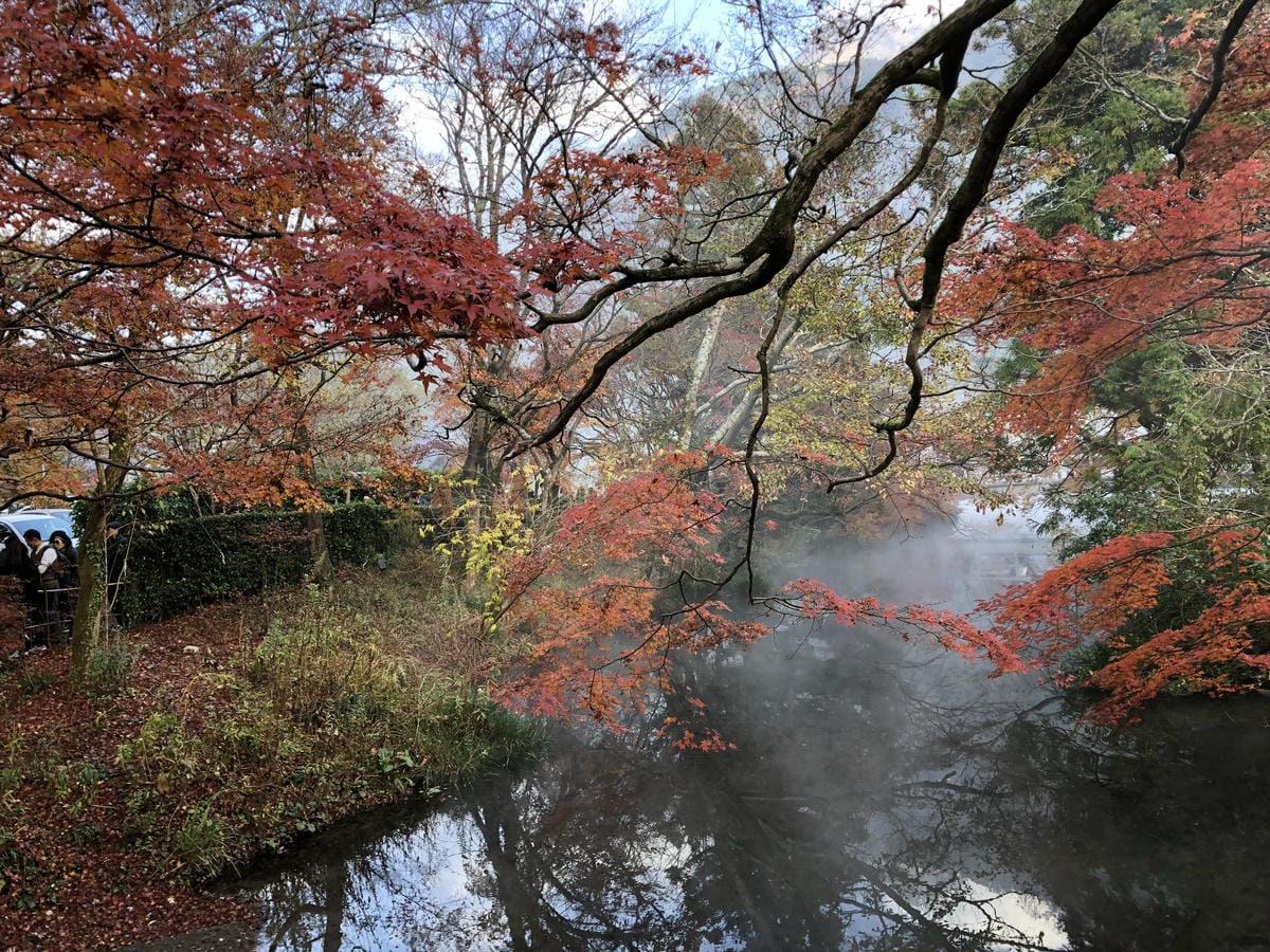 湯布院町川上 湯布院町川上