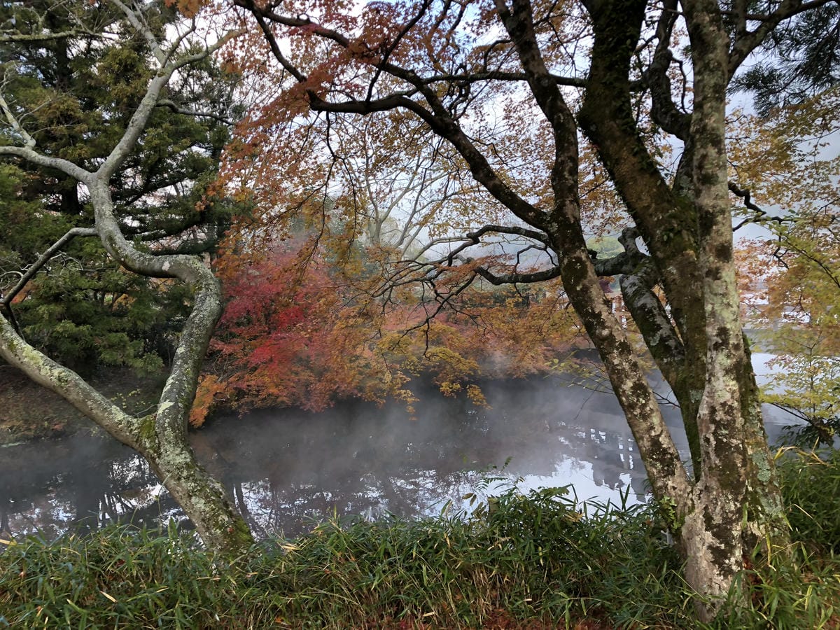 湯布院町川上 湯布院町川上
