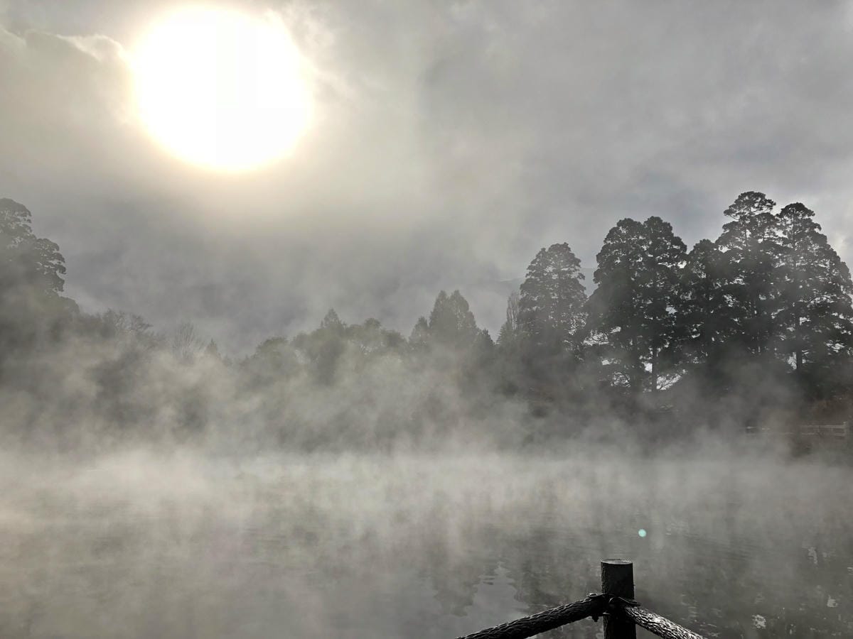 金鱗湖 金鱗湖