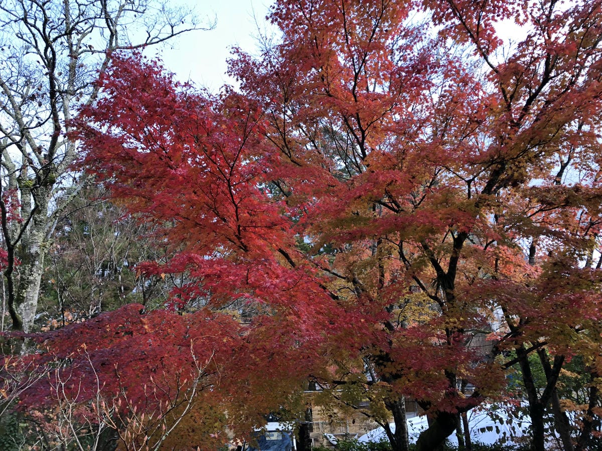 湯布院町川上 湯布院町川上