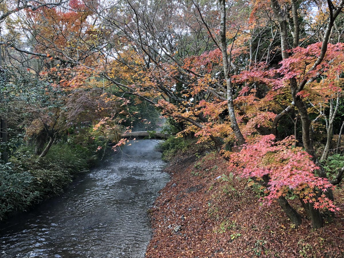 湯布院町川上 湯布院町川上
