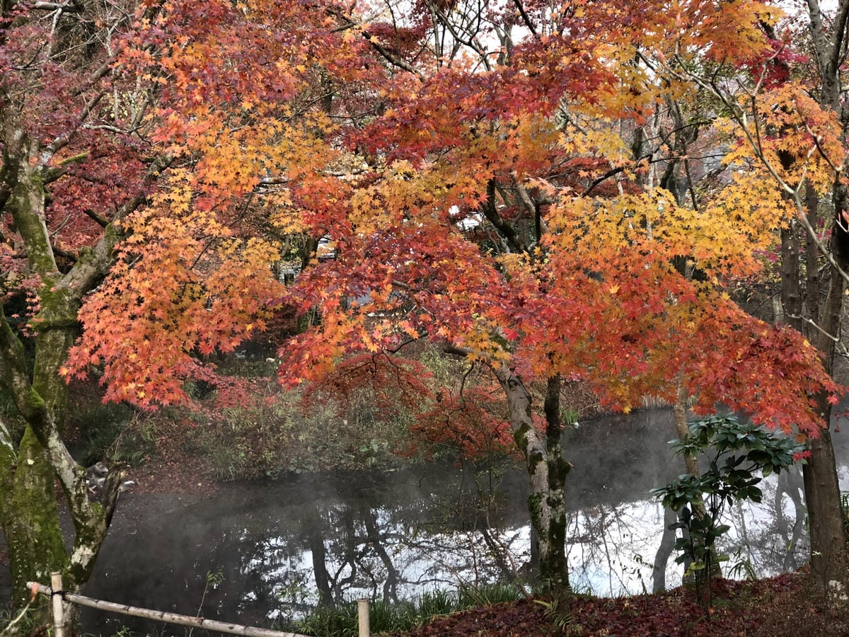 湯布院町川上 湯布院町川上