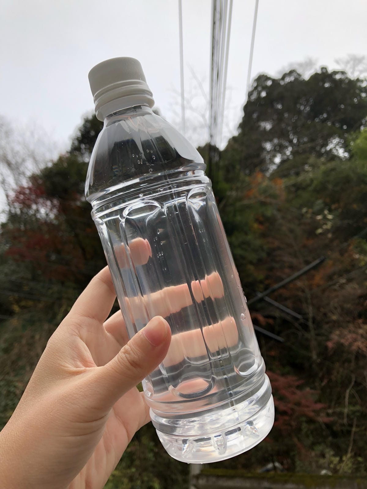 Tsuetate Kanko Hotel Hizenya Tsuetate Kanko Hotel Hizenya