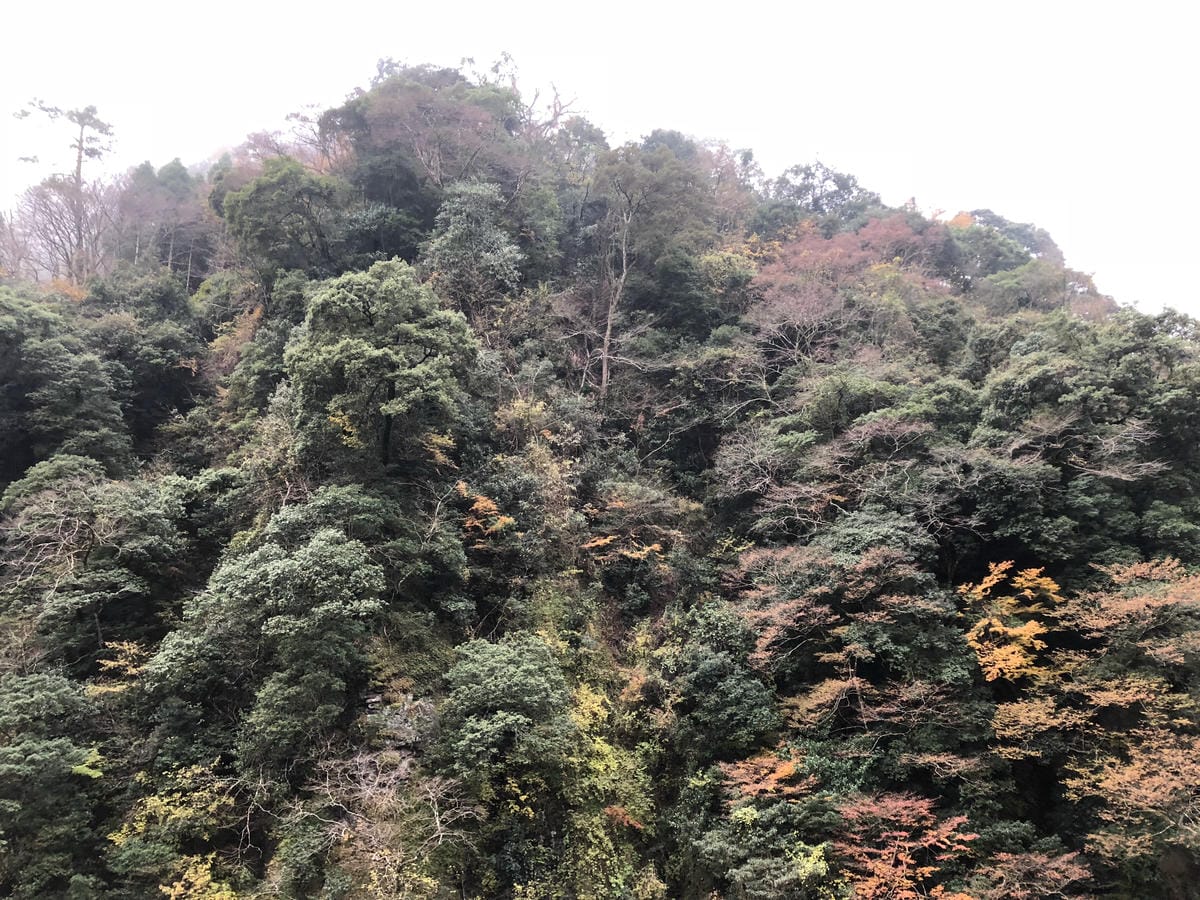 Tsuetate Kanko Hotel Hizenya Tsuetate Kanko Hotel Hizenya