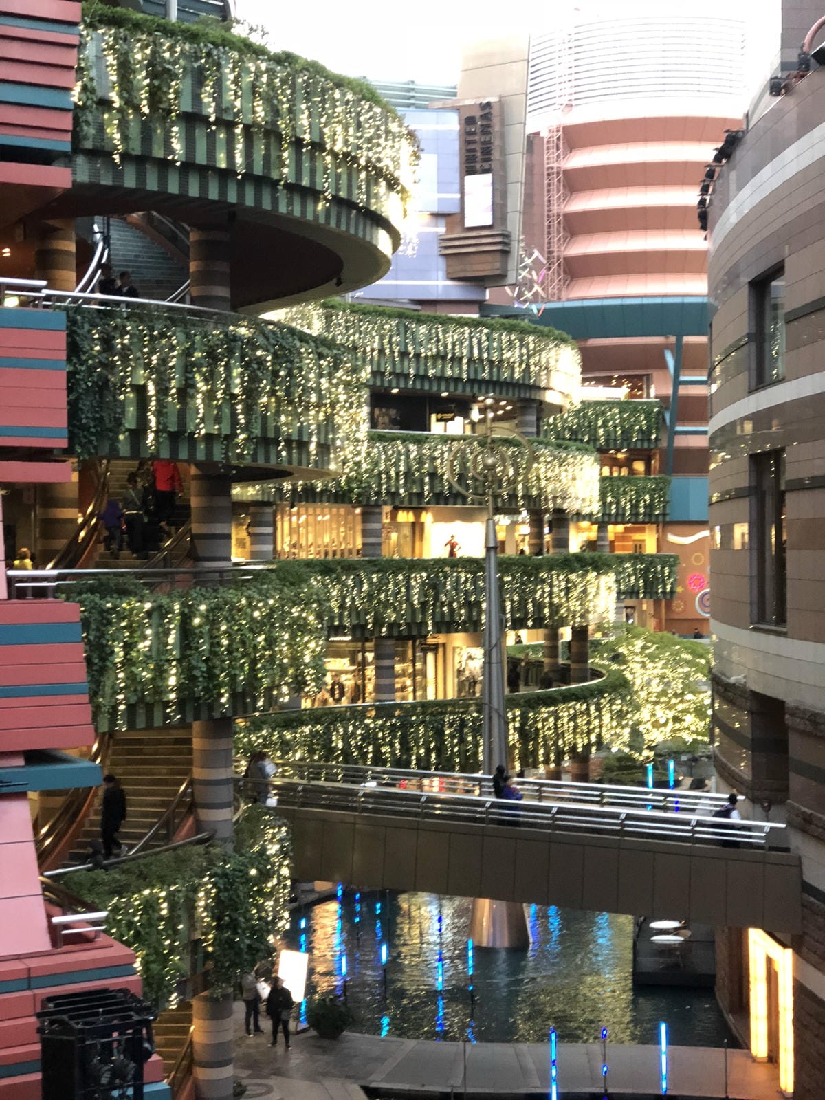 IMG_4431.JPG IMG_4431.JPG