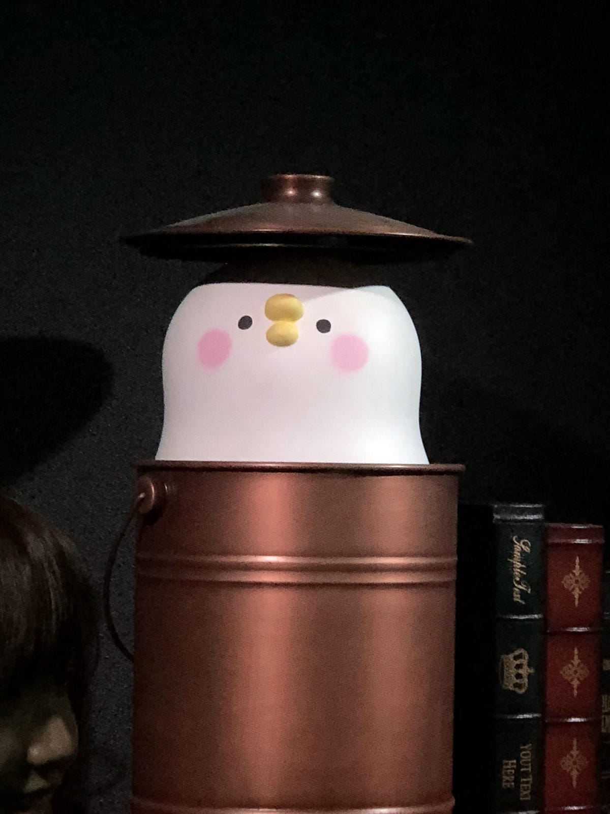 卡娜赫拉的愜意小鎮特展 卡娜赫拉的愜意小鎮特展