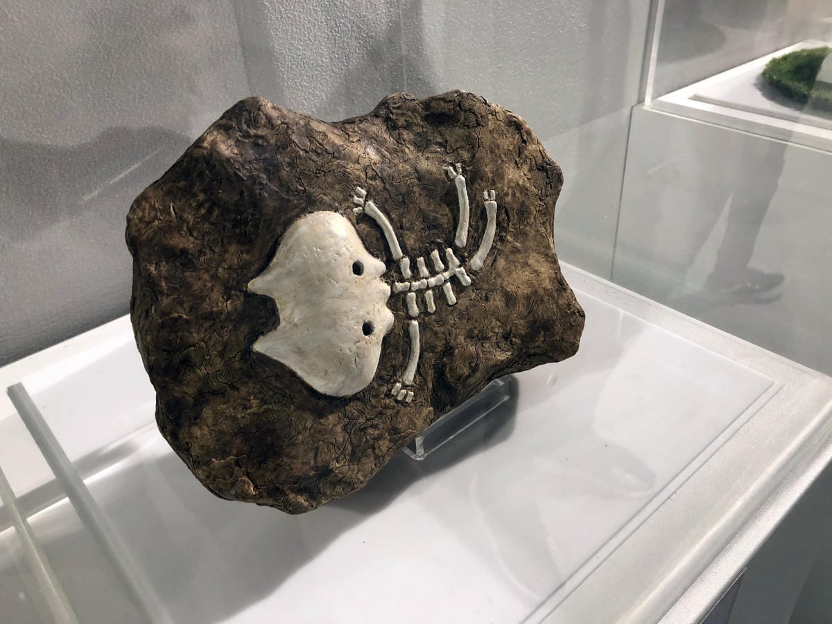 卡娜赫拉的愜意小鎮特展 卡娜赫拉的愜意小鎮特展