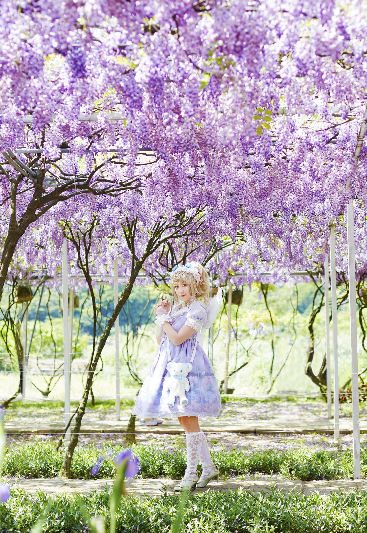The Oath of Swans and Purplevine The Oath of Swans and Purplevine