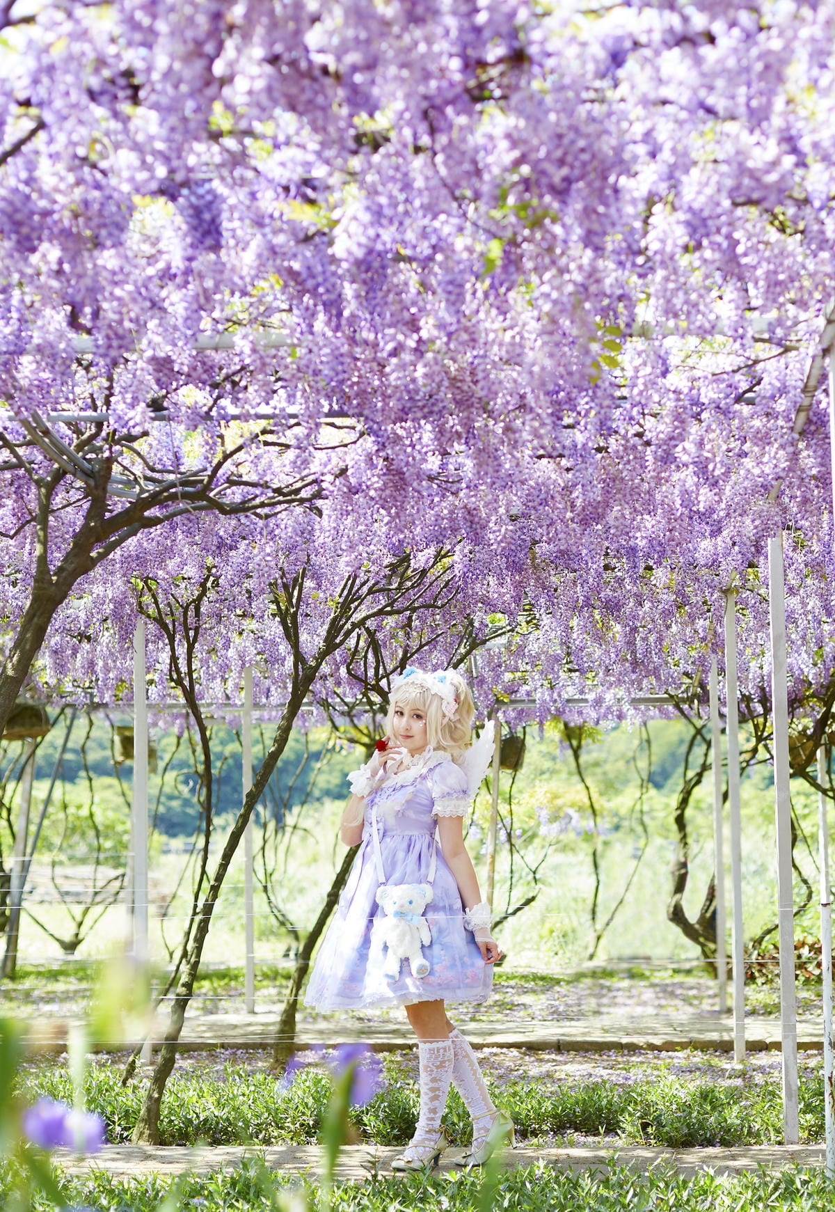 The Oath of Swans and Purplevine The Oath of Swans and Purplevine