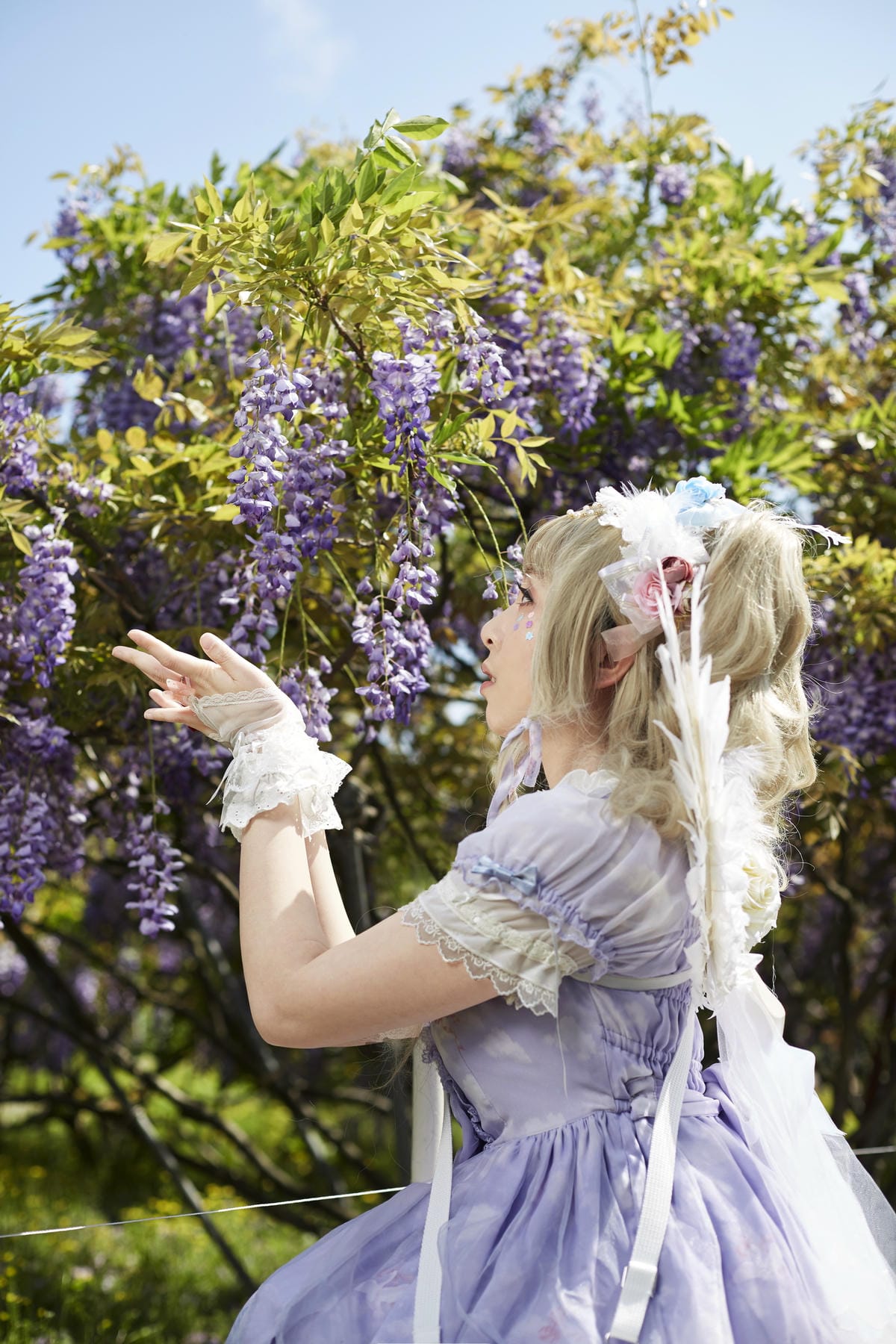 The Oath of Swans and Purplevine The Oath of Swans and Purplevine
