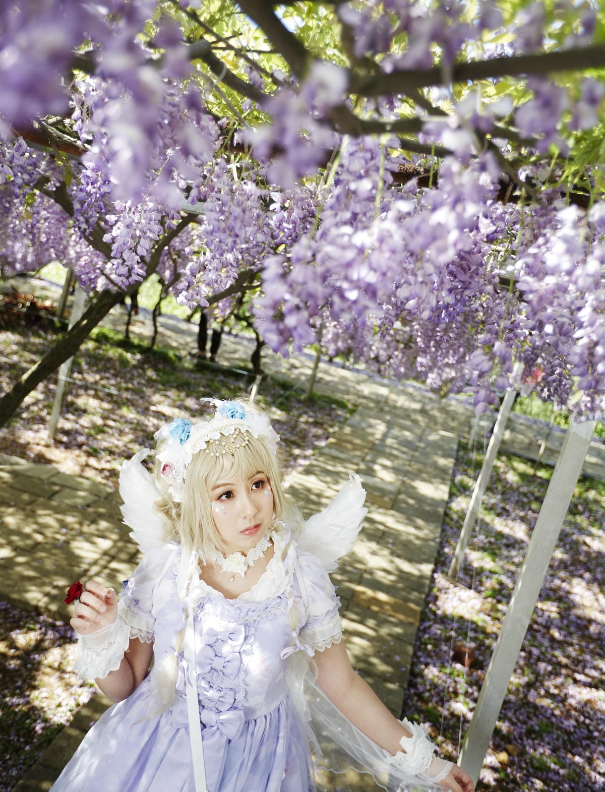 The Oath of Swans and Purplevine The Oath of Swans and Purplevine