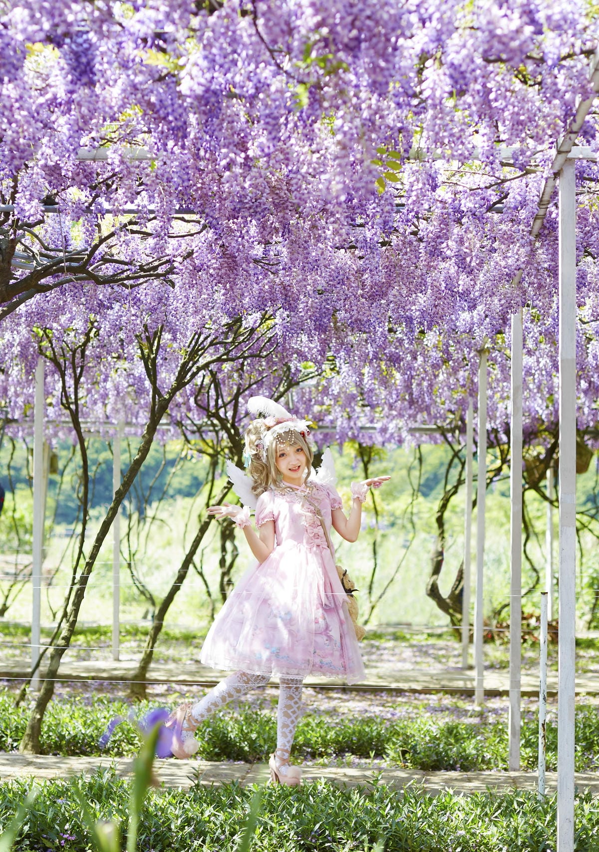 The Oath of Swans and Purplevine The Oath of Swans and Purplevine