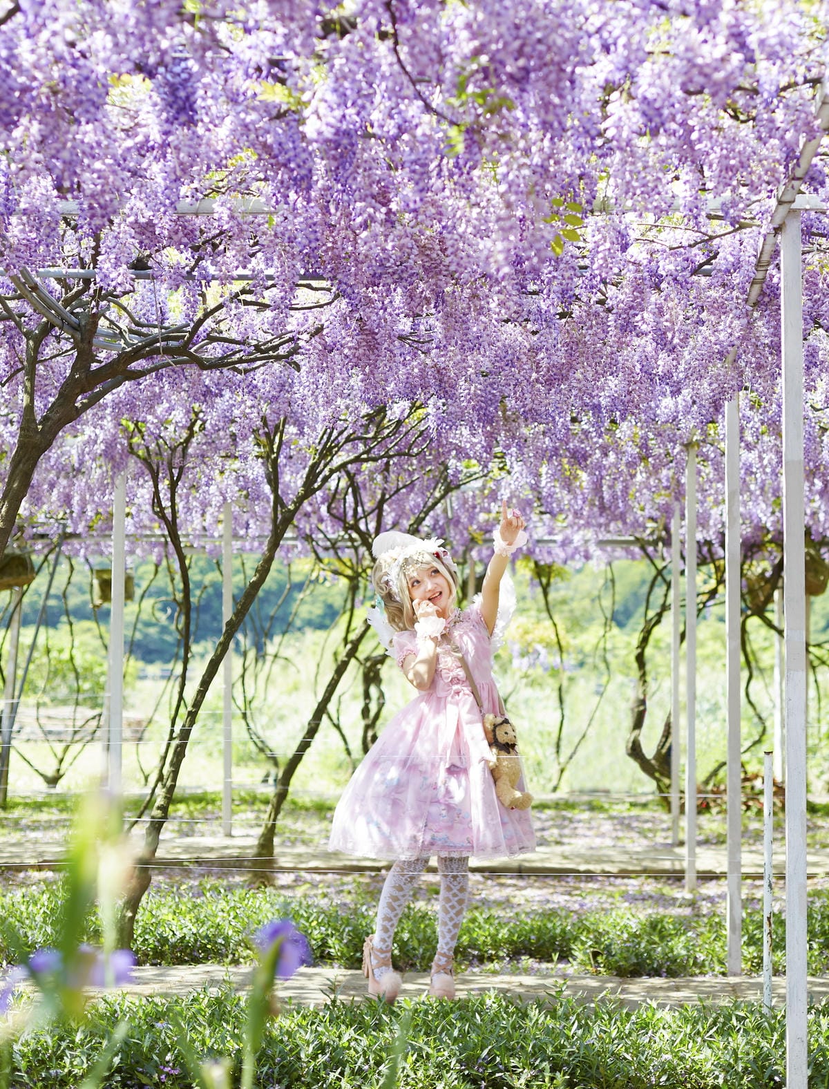 The Oath of Swans and Purplevine The Oath of Swans and Purplevine