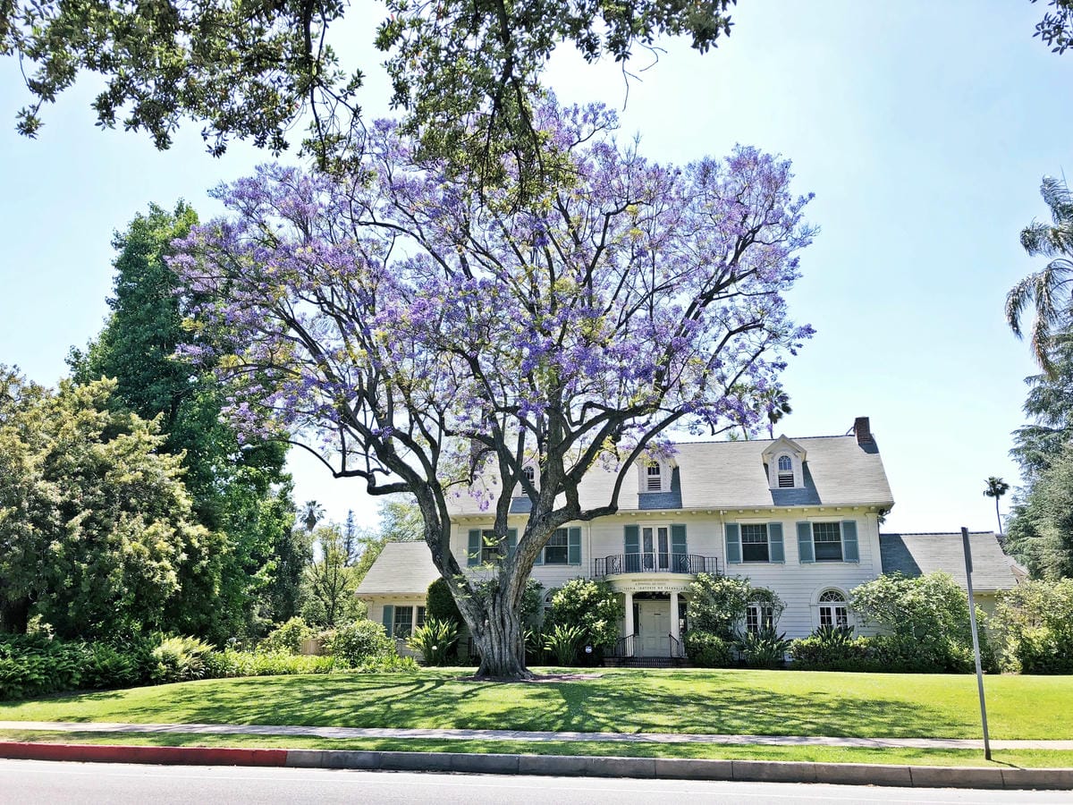 California Institute of Technology - Caltech California Institute of Technology - Caltech