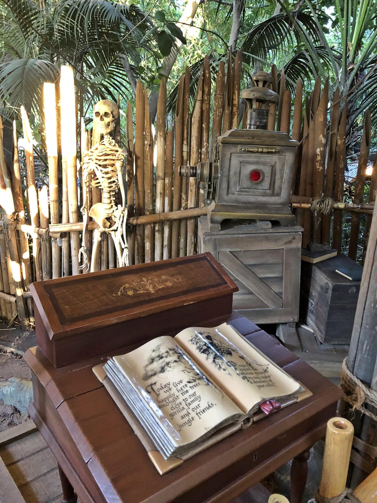 Disneyland Disneyland