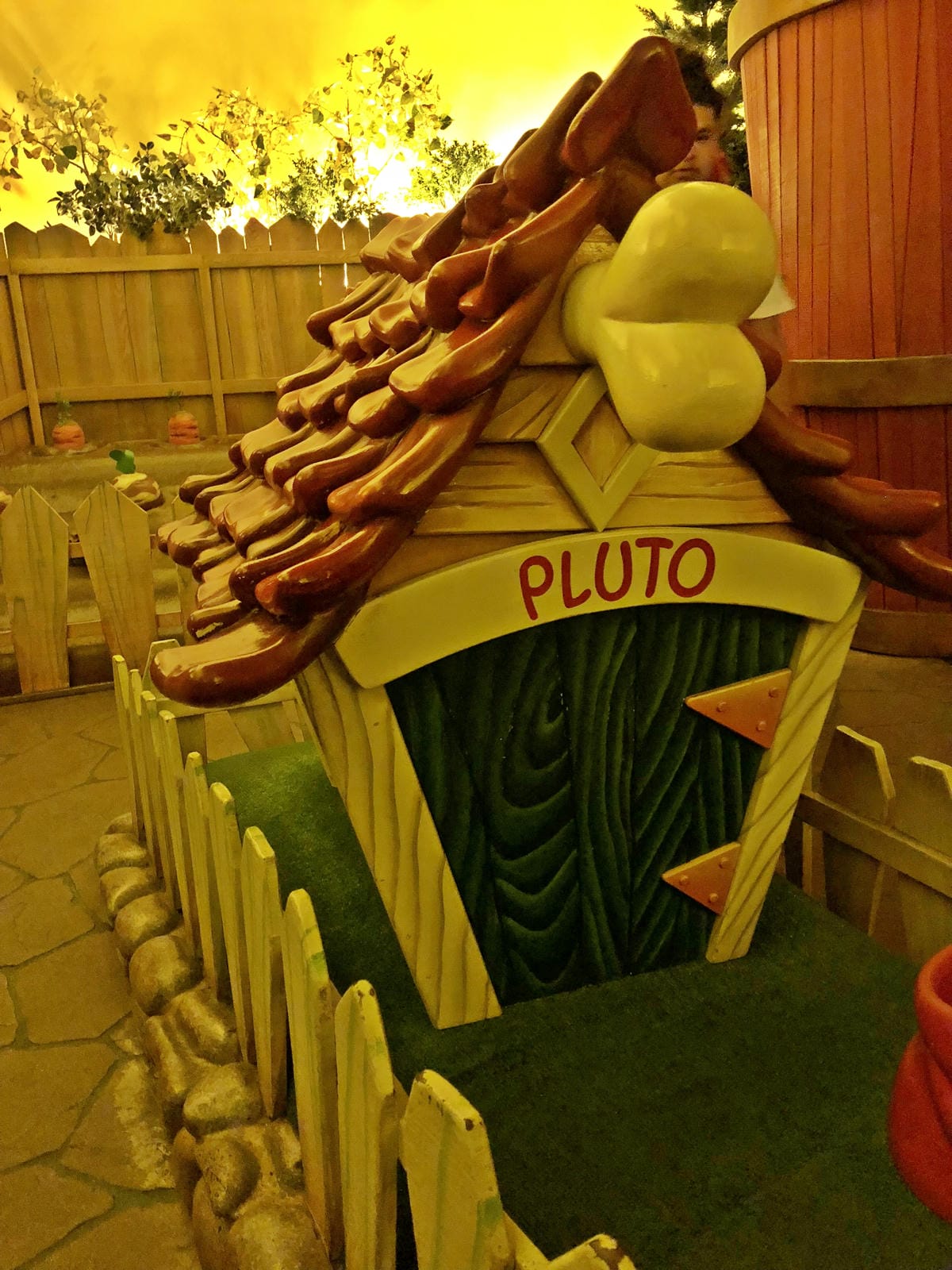 Disneyland Disneyland