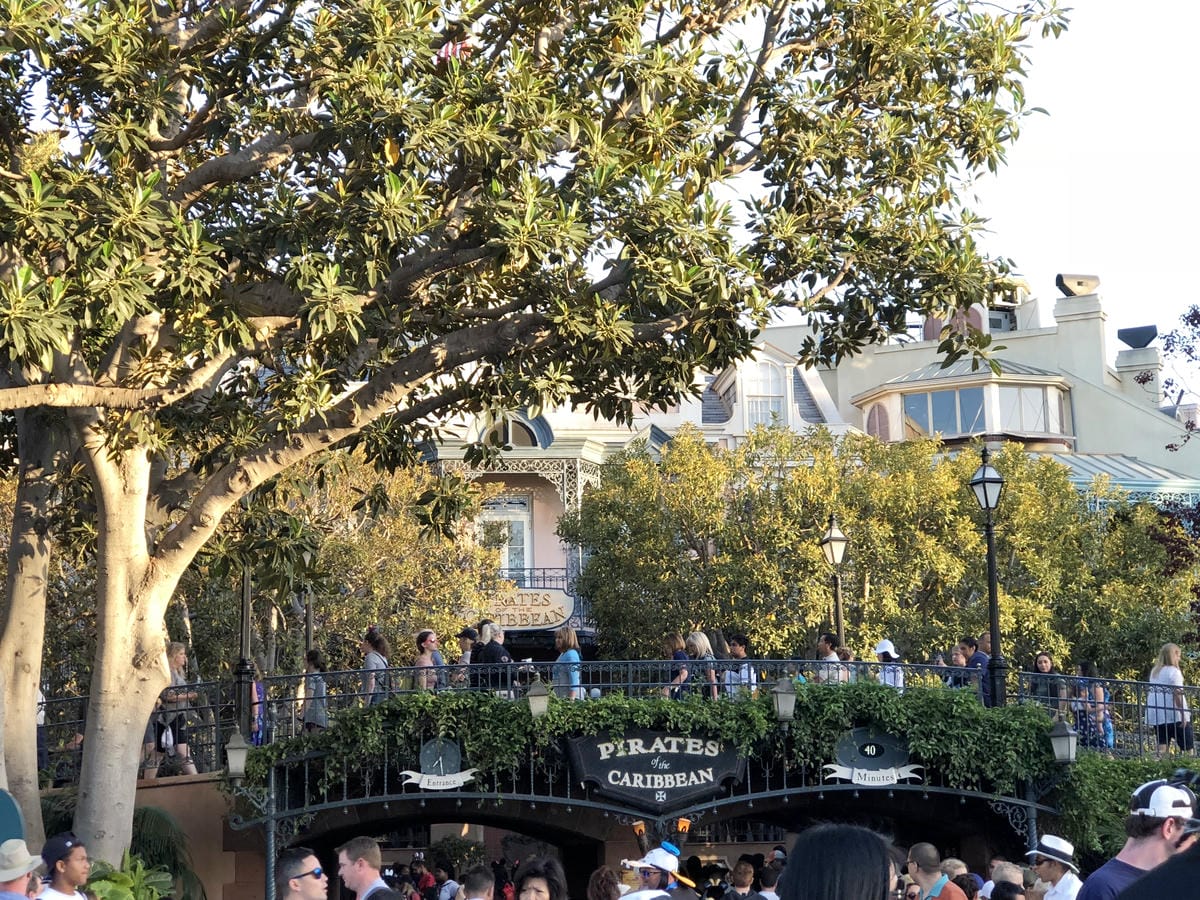 Disneyland Disneyland