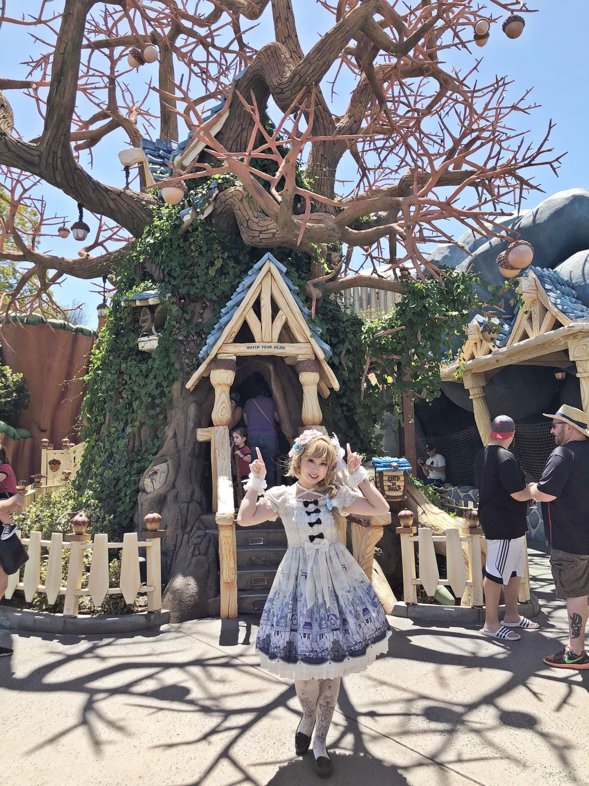 Disneyland Disneyland